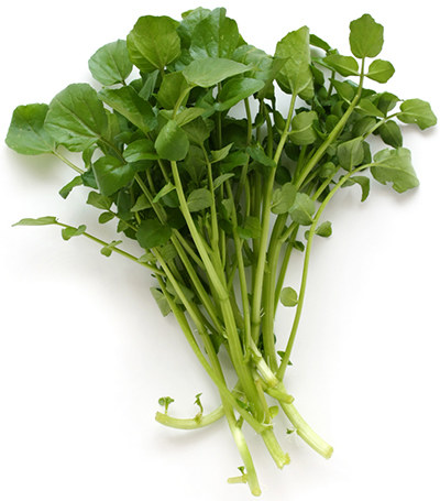 Image of Watercress and lettuce herbs
