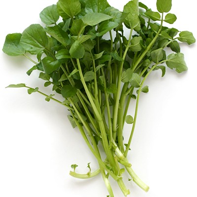 Watercress